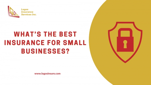 What’s The Best Insurance For Small Businesses in Torrance, California?